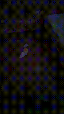 4 00_00_00-00_00_30.gif